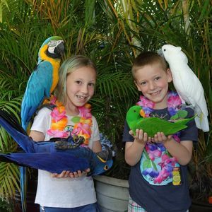 Meet your Posher, Della